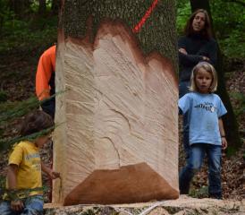 Kinder können herrlich staunem: Ein Baum soll gefällt werden