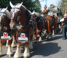 Feier im und um den Gasthof Löwen Meisterschwanden (Bild: hh.)