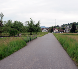 Beliebte Schleichstrecke: Löst Tempo 30 das Problem? (Bild: Martin Sommerhalder)