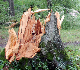 Unwetterschäden (Bild: WB)