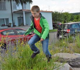 Regt Kinder dazu an, sich im Wildbienenparadies pudelwohl zu fühlen.