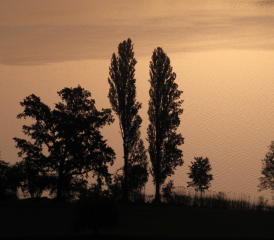 Hallwilersee spiegelt Sahara-Staub (Bild: Eduard Schmid)