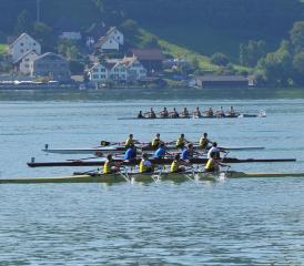 Imposanter Ruderevent auf dem Hallwilersee