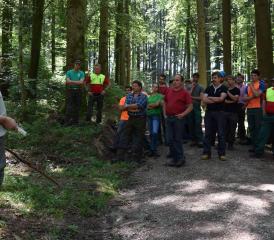Erwin Städler stellte den Forstkreis vor und orientierte über verschiedene Projekte und Studien