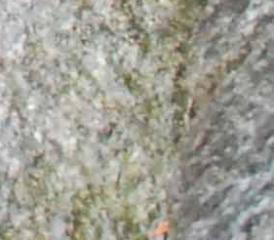 Gemeinderätin Monica Riedo, Bibliothekarin Barbara Lüthi und das Mitglied der Kulturkommission "Schlossrued läbt", Barbara Weber (v.l.) präsentierten die Bücherkiste