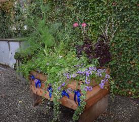 Der Garten in der Kiste – ein Erfolgsmodell des Gemeinnützigen Frauenvereins Schöftland