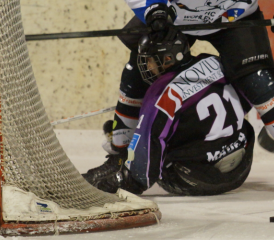 Steinberger pannen Steinberger pannen