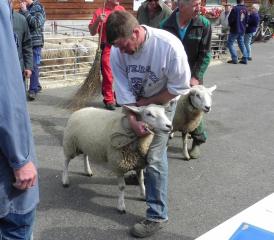 Bereit für die Beurteilung.