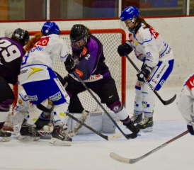 SC Reinach im Einsatz (Bild: SC Reinach)