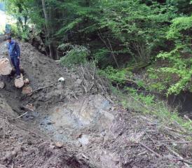 Förster Markus Steiner erklärt die Funktion der eingebauten Holzkasten