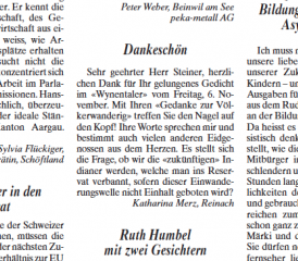 Ausschnitt Printausgabe Wynentaler Blatt