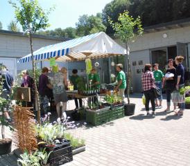 Die Produkte der Gärtnerei fanden reissenden Absatz