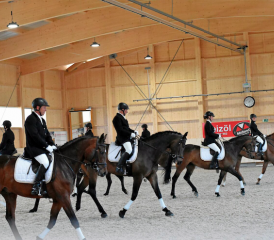 Pferdefest der Extraklasse: Der Reitverein Wynental feierte sein 125-jähriges Bestehen und die Einweihung der neuen Reithalle. (Bilder: zVg.)