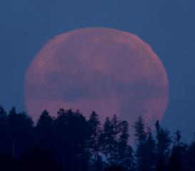 Bild: Andreas Walker