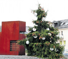 Weihnachtsbaum mit Gendefekt (Bild: msu.)