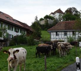 In dieser Idylle, im historischen "Tanzhüsli", startete das Erzähltal 2017