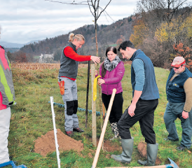 Patenprojekt für Hochstammbäume in Teufenthal: Fachleute unterstützen die Paten beim Pflanzen der Bäume. (Bild: zVg.)