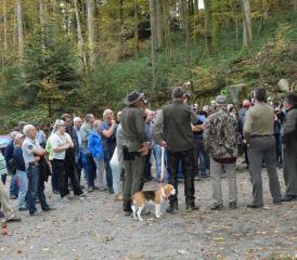 Dieses Bild beim "Wandersmann" dokumentiert den grossen Ansturm zum Waldumgang