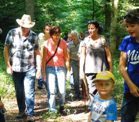 Der Aufmarsch an Waldgängern im Attelwiler Wald war erfreulich gross.