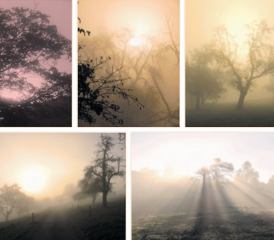 Herbstbilder von Herbert Müri