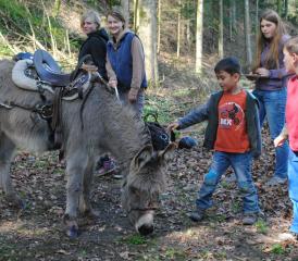 Der Esel vermochte die Kinder zu faszinieren