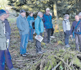 Mitten im Wald: Beat Eichenberger zeigt der Gruppe, wo ohne menschliches Zutun junge Tännchen wachsen. (Bild: be.)