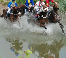 Trotz Regenguss niedriger Wasserstand am Teich – dafür originelle Spiegelung