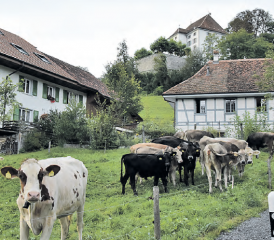 Schlossrued. Der Startanlass des Erzähltals wurde hier präsentiert. (Bild: st.)