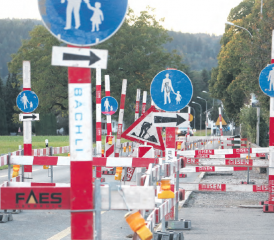 Schilderwald in Oberkulm (Bild: Remo Conoci)