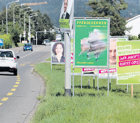 «Wir sind relativ grosszügig in der Auslegung»: Die Gemeinde Suhr toleriert, dass an dieser Strasse 11 von 13 Plakaten zu nahe am Strassenrand stehen. (Bilder: rc.)