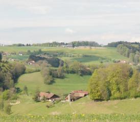 Der Blick ins Ruedertal vom Pfaffenberg her.