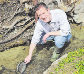 «Ein klares Zeichen, dass es diesem Bachlauf gut geht»: Matthias Betsche, Geschäftsführer der Pro Natura Aargau, findet mit einem Sieb Krebse. Mit der Gewässer-Initiative sollen weitere Feuchtgebiete und Lebensräume entstehen, die auch dem Menschen dienen. (Bild: rc.)