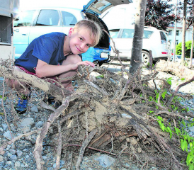 Insekten, Ameisen oder Eidechsen: Bald schon werden in Bahnhofsnähe unterschiedlichste Lebewesen zu beobachten sein. (Bild: grh)