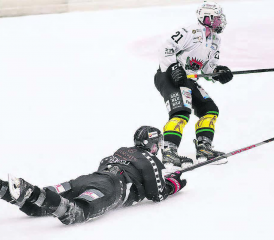 Bruchlandung, trotz guter Saison: Für die Red Lions gibts auch dieses Jahr kein Happy-End. (Bild: rc.)
