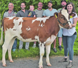Das Red-Holstein-Rind «Ronja» wartet gespannt auf seinen neuen Besitzer, den Tagessieger des 56. Homberg-Schwingets: hinten von links Gabenchef Manfred Furrer, Spender Daniel Meyer mit Sohn Levin, André Bergmann (Schwingklubpräsident), Spender Patrick Meyer, OK-Präsident Patrick Bucher und Selina Reubi vom Bampfhof Dürrenäsch. (Bild: wr)
