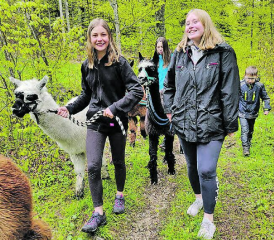 Kirche kann auch abenteuerlich sein: Alpakatrekking und Seilparkbesuch im Rahmen des Religionsunterrichts der ref. Kirche Gontenschwil-Zetzwil. (Bilder: zVg.)