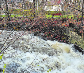 Die Wyna bei der Badi in Menziken am Dienstagnachmittag, 15 Uhr: Endlich ist aus dem Rinnsal der letzten Monate wieder ein Bach geworden, der diesen Namen auch verdient. (Bild: msu.)