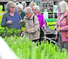 Beatrice Kunz von der Aktivierungsgruppe (links) begleitete die Seniorinnen aus dem Pflegezentrum Rondo Safenwil. (Bilder: rc.)