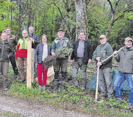 Mitarbeit an kantonalem Projekt: Mitglieder des Vereins Sandsteinmuseum Staffelbach und der Jagdgesellschaft Staffelbach pflanzen im Rahmen des kantonalen Projekts 100 Eiben rund um den Steinbruch Böhl. (Bilder: Alexandra Berk)