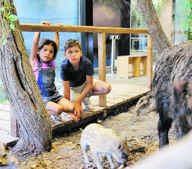 Für Kinder gibt es im Naturama auch während der Sommerferien vieles zu entdecken. (Bild: zVg.)