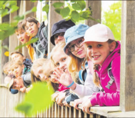 Die Privatschule salta in Gränichen lädt am 27. November zum Tag der offenen Tür ein. (Bild: zVg.)