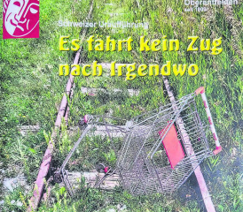 Und plötzlich ist der Spass vorbei: In Unterendloch nimmt sich die Natur die Bahngeleise langsam wieder zurück. (Bild: tgo)
