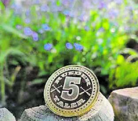 Der «Rueder Taler»: Einlösbar in allen Betrieben des Gewerbevereins Inorued. (Bild: zVg.)