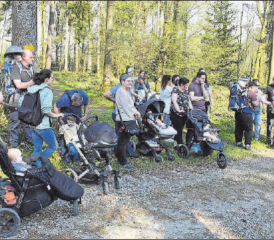 Begeisterte Mütter und Väter hören gleichermassen gespannt zu: Die Schöftler Baumpflanzaktion auf dem Gebiet «Uf der Ebni». (Bilder aw.)