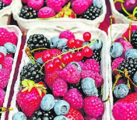 Die Auswahl ist gross: Im Juli haben fast alle Beerensorten Saison.(Bild: lid)