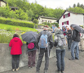 Halt an einer Magerwiese: Der Rundgang durch Unterkulm führte an interessanten Stellen vorbei. (Bilder: zVg.)