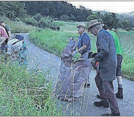 Frühaufsteher am Werk: Im Gemeindegebiet Gränichen ging es den Neophyten an den «Kragen». (Bild: zVg.)