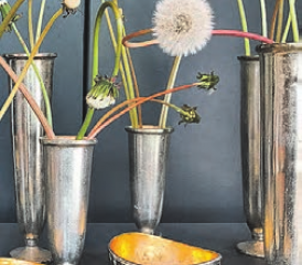 Geschenke der Natur: Irene Maurer lässt die Leute staunen über Dinge, an denen wir oft achtlos vorbeigehen. (Bild: zVg.)