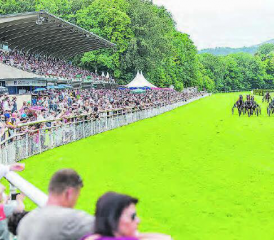 Die Pferderennbahn im Aarauer Schachen bietet sich am 12 Mai als Familien-Ausflugsziel am Muttertag an. (Bild: zVg.)