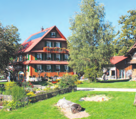 Der Bauernhof in Rickenbach: Mitten in der Natur idyllisch gelegen. (Bild: zVg.)